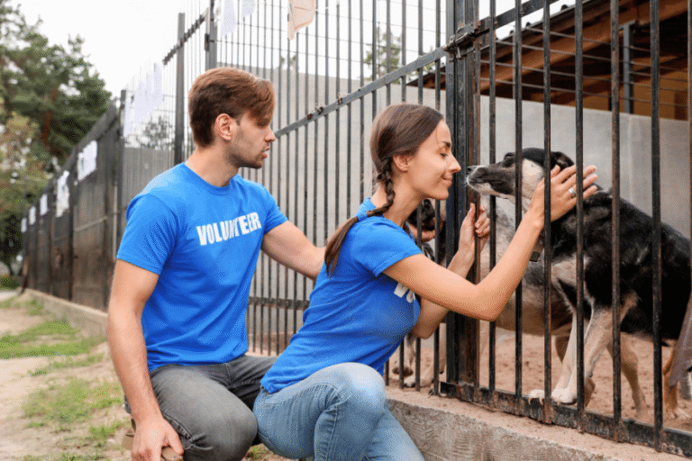 kamadenu seva trust (9)